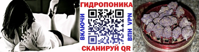 Где продают наркотики Сясьстрой Alpha-PVP  Мефедрон  ГАШ 