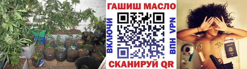 ТГК THC oil  МЕГА ссылка  Сясьстрой 