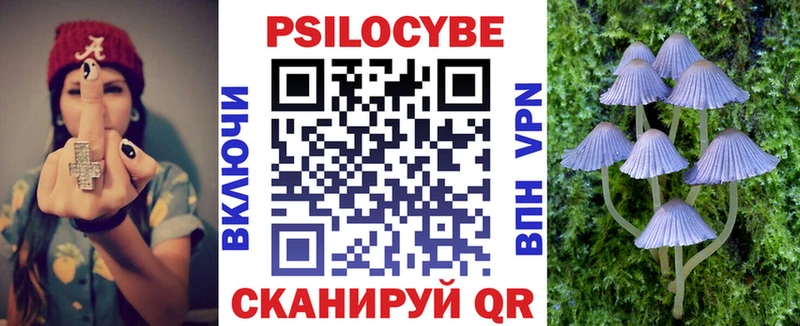 хочу наркоту  Сясьстрой  Псилоцибиновые грибы GOLDEN TEACHER 
